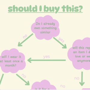 Should I Buy This? Flowchart